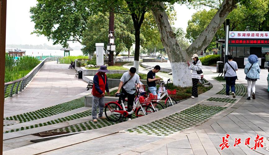 身处武汉的朋友小王遇选择困难,东湖绿道给了他新认知