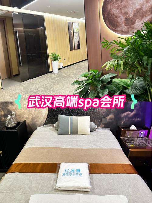 武汉会所2021_武汉会所指南_武汉的会所什么价格