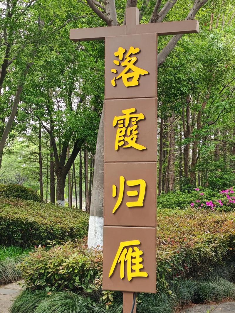 武汉东湖绿道冥想体验:发现楚风园七种鸟叫频率,找回生活温度