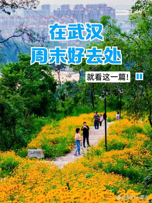 武汉玩乐网_武汉玩乐怎么样_武汉玩乐公众号