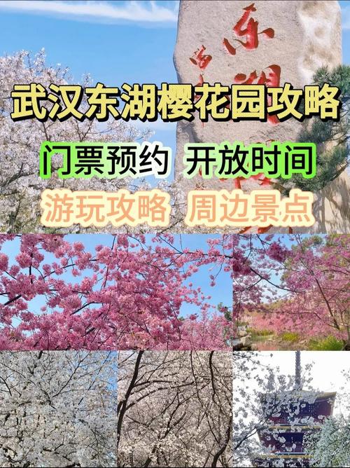 武汉魅力之城，东湖樱花园与汤逊湖鱼丸一条街等你来赏玩