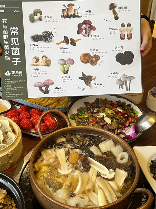 成都养生之旅：探索气候与美食带来的独特健康益处
