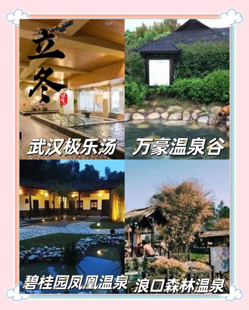 武汉性价比最高的养生_武汉养生哪里好_武汉养生什么意思